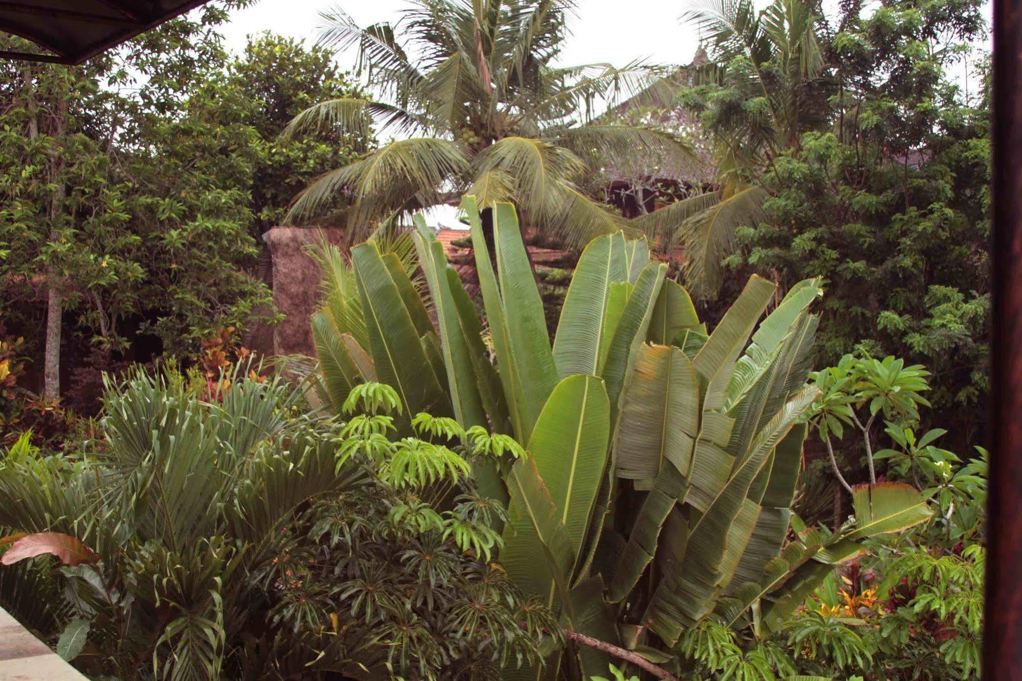 Garden View Hotel Ubud